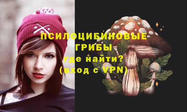 mdma Дмитриев