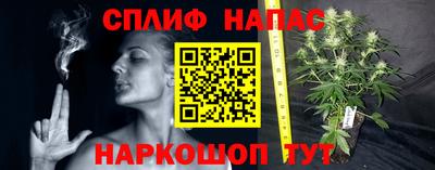 винт Балахна