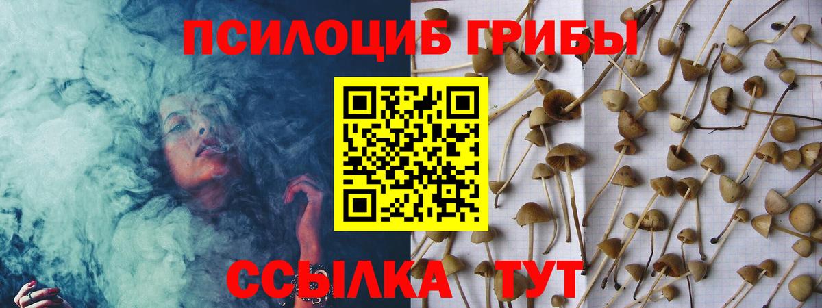 Джанкой  Галлюциногенные грибы Cubensis  Вход с VPN 