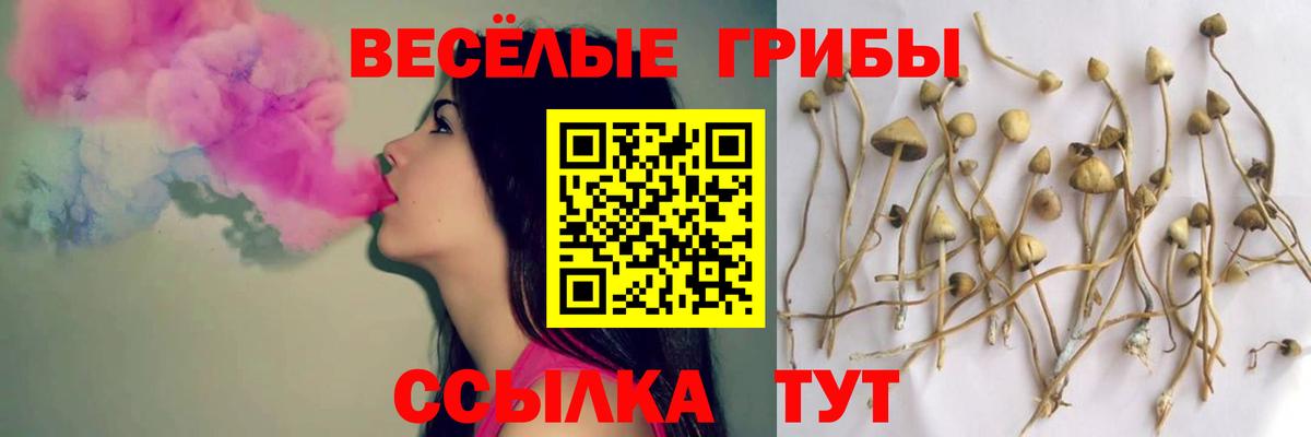 Псилоцибиновые грибы прущие грибы Джанкой
